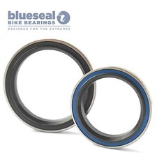 Trance 2015 - 2021 giant