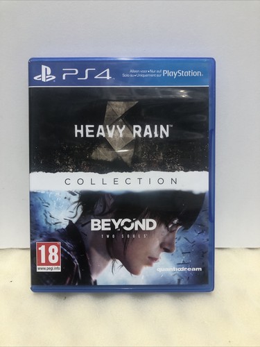 The heavy rain - the,