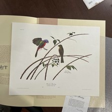 Ray Harm Edizione Limitata