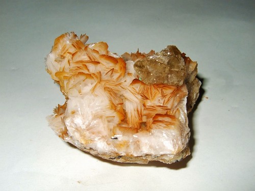 Minerali grezzi - -,