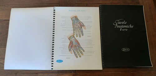Tavole anatomiche ii - tavole, anatomiche.i-ii
