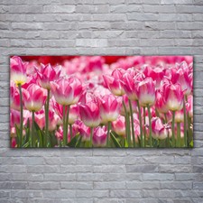 Stampa su Tela 120x60