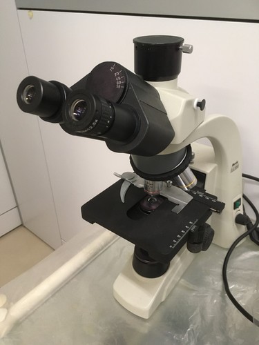Microscopio biologico motic - microscopio,