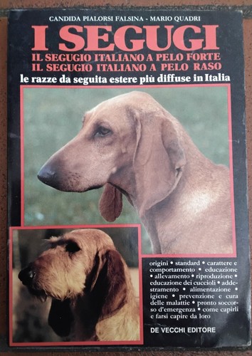 Segugi autori falsina - ,