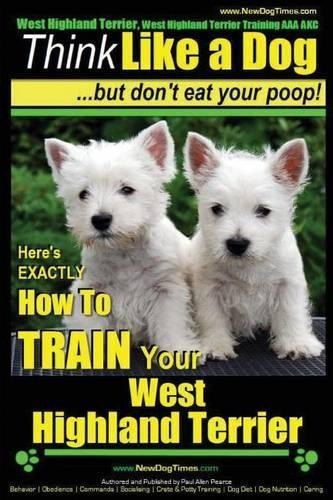 West highland terrier - terrier,,