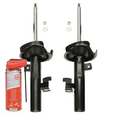 2x Ammortizzatori + Olio