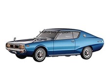 Hasegawa 1/24 Nissan Skyline