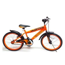 BICI 20 CTB HUNTER MV COL ASST