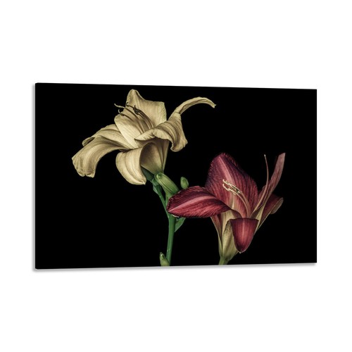 Quadro stampa tela - su, con