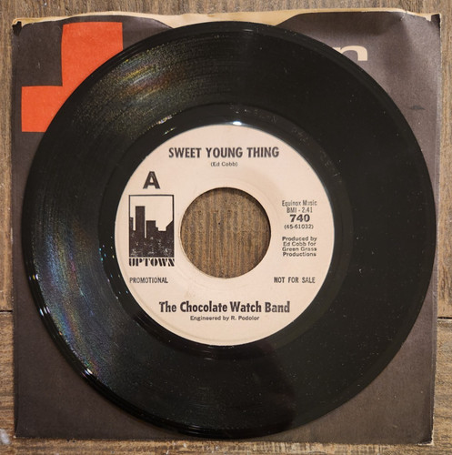 The chocolate watch band - watch,