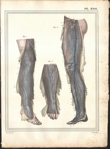 1825 lithographie aquarellée - 1825,