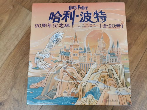 Rare harry potter chinese - harry,