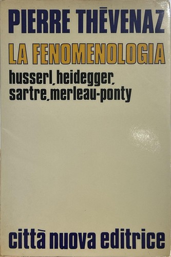 Libro fenomenologia - libro,