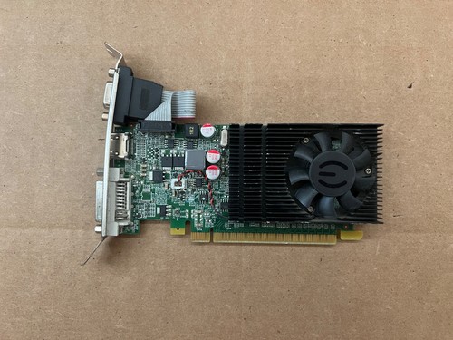 Scheda grafica ddr3 evga - scheda,