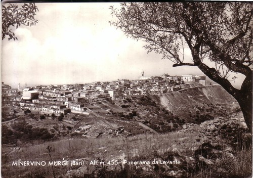 Cartolina minervino murge - ,