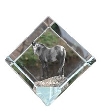 Appaloosa Ciondolo Halskette
