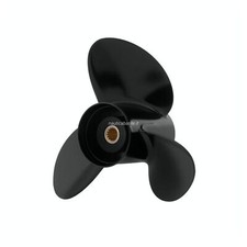 Elica Evinrude Johnson BRP - 1