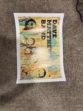 Dave Matthews Band Poster
