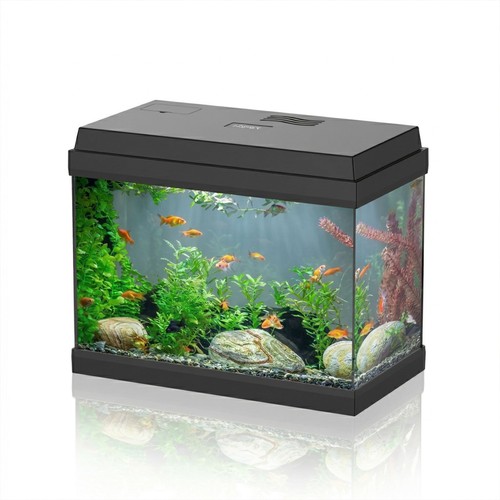 Acquario vetro per pesci - acquario, in