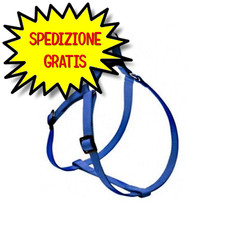 CAMON PETTORINA FLASH N. 4 -