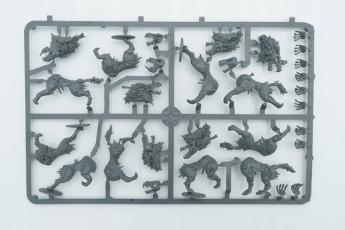 Warhammer fantasy battle - warhammer,