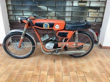 beta 50 camoscio sport usato