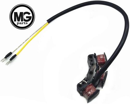 Auxiliary stator for mercury - stator,