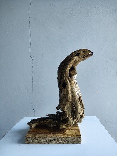 Serpente scultura legno - scultura,