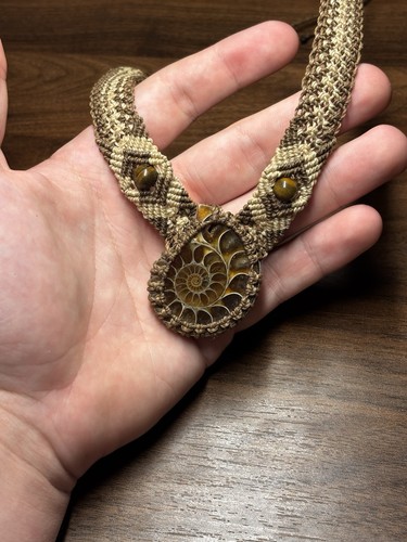Collana conchiglia nautilus - collana,