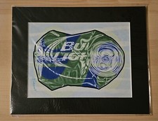 Andy Quaglino "Ambientalista"