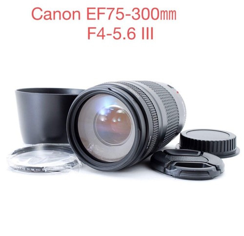 Canon 300 5 6 - mm, f4-5.6