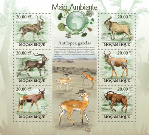 Mozambico 2010 mnh antilopi - mnh,
