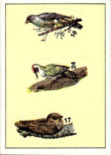 Figurina uccelli panini - uccelli, ed.panini