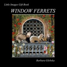 WINDOW FERRETS (LITTLE IMAGES