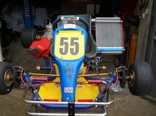 go kart 125 usato in ottime condizioni con motore vortex