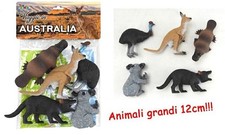 Busta Animali Australia Koala