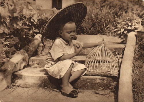 Cina enfant au panier - cina,,