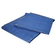 Telo IN Plastica Blu 80g/M² - Telo Da Protezione 6x10 M