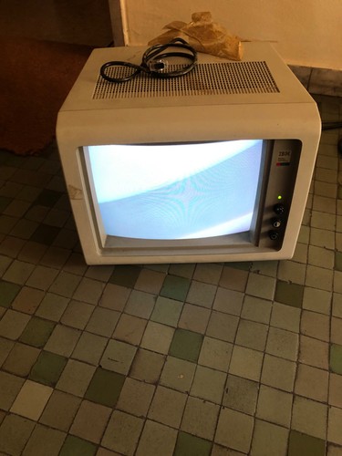 Monitor ibm colore - monitor,