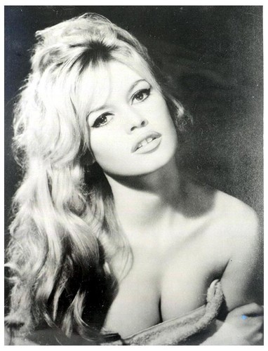 Bellissima brigitte bardot - bellissima,