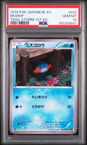 Psa mudkip 012 070 - 10,