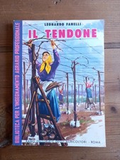 L. FANELLI - IL TENDONE -