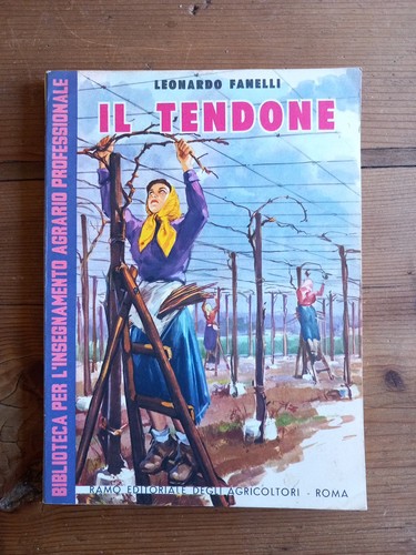 Fanelli il tendone - il,