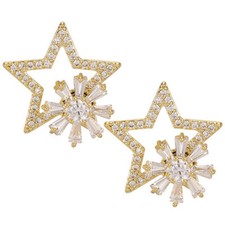 1 Pair Delicate Beautiful Ear