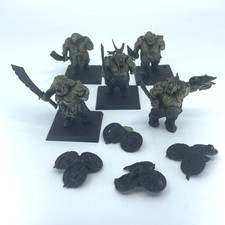 Plague Ogors Regiment - Ogre