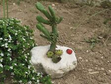 Arredo giardino-decorazione