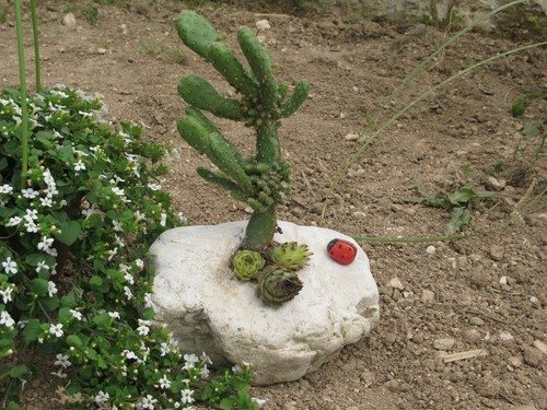 Arredo giardino decorazione - arredo, giardino-decorazione