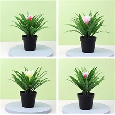 Piccolo Albero Erba Vaso