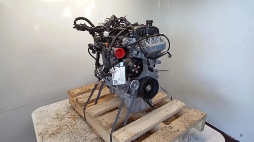 Motore suzuki - motore,