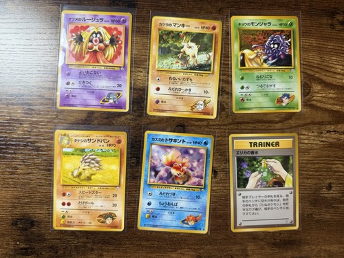 Pokemon eroi palestra - pokemon,